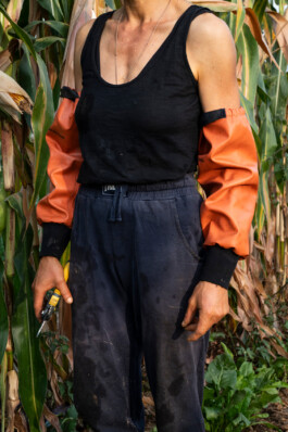 Francesca Cirilli